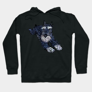 Funny miniature schnauzer, cute puppy face Hoodie